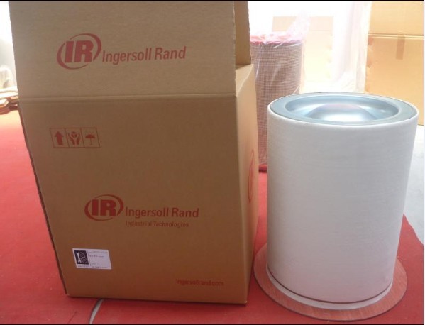 Ӣ�����m�͚���x��22219174